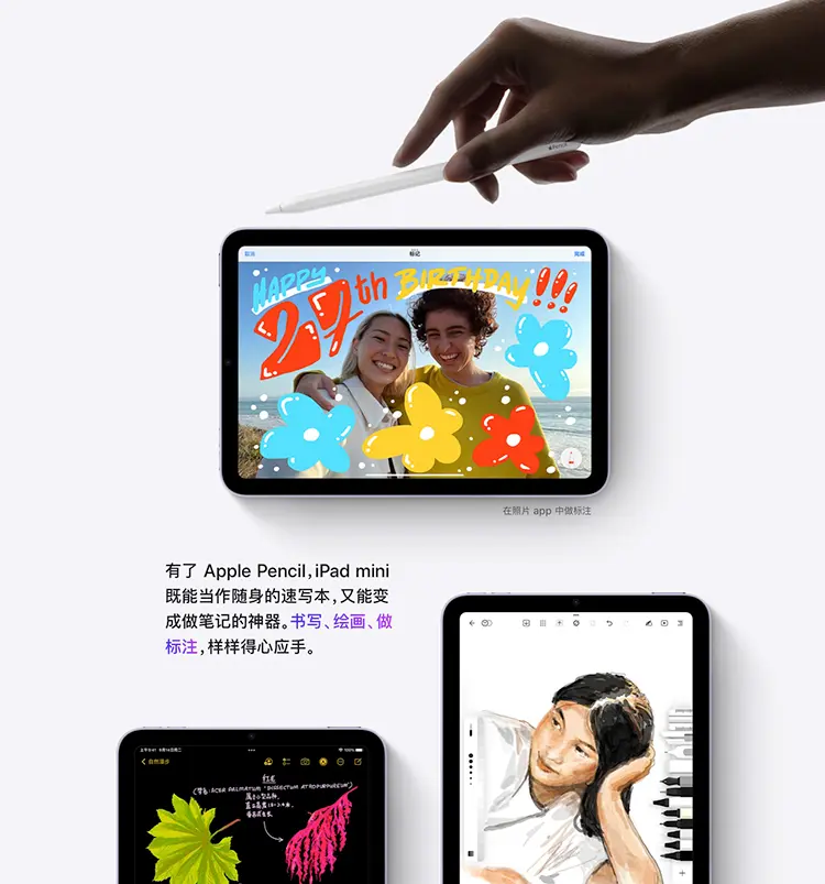 Apple iPad mini 2021款5G版8.3英寸紫色256GB Apple iPad mini 2021款 